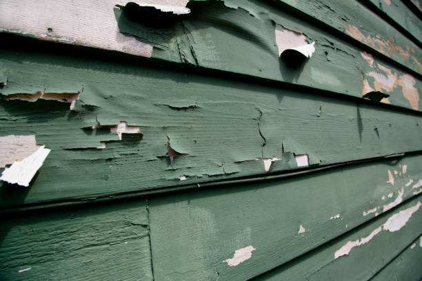 Best Demolition Debris Removal  in Signal Hill, CA
